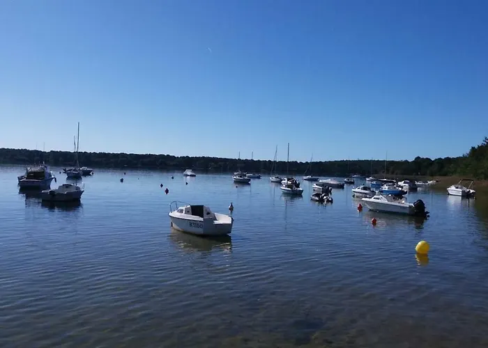 Maison De Proche * Lacanau